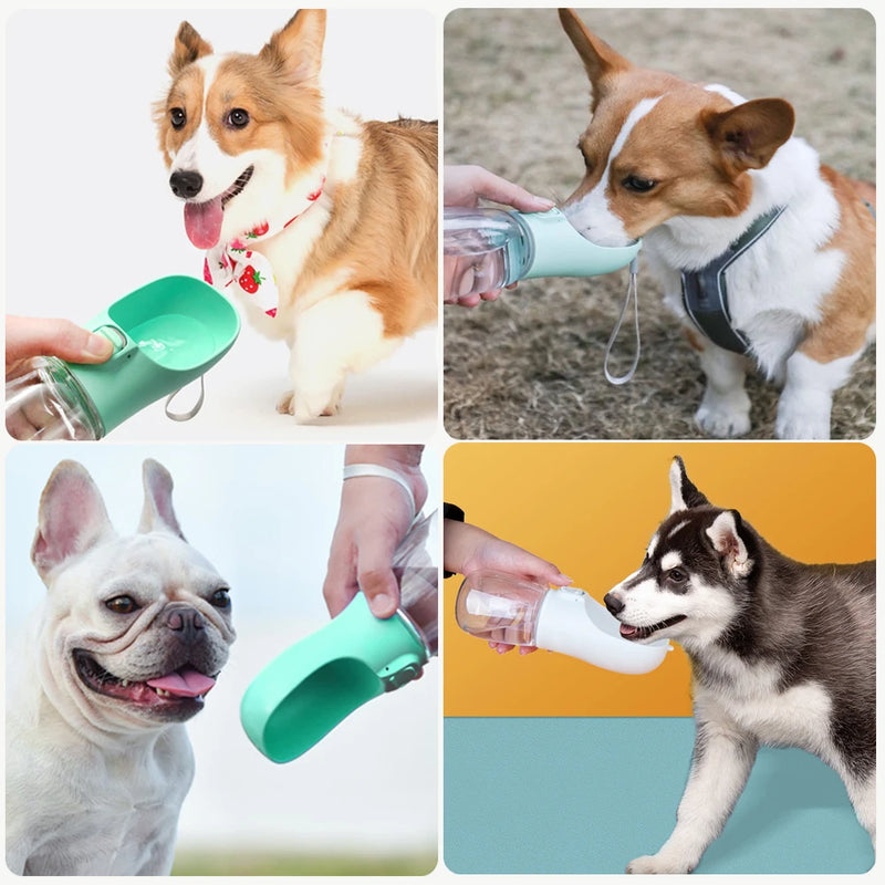 Garrafa de água portátil para cães pequenos e grandes